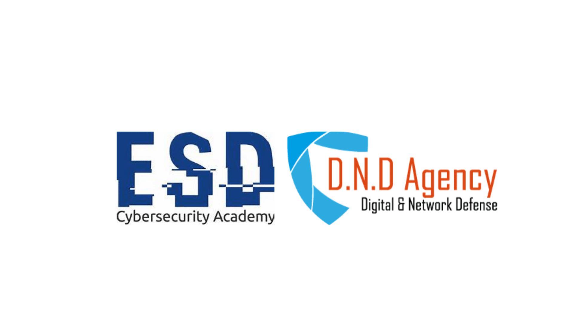 DND Agency X ESD Academy